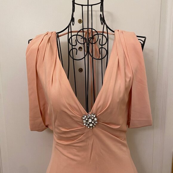 Vintage NWT Women BCBGMAXAZRIA Peach/Blush Backless Maxi Column Dress Gown Size - Picture 2 of 11